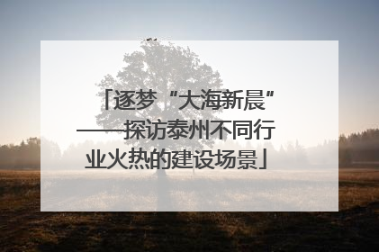 逐梦“大海新晨”——探访泰州不同行业火热的建设场景