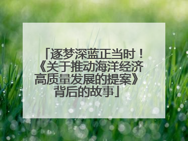 逐梦深蓝正当时！《关于推动海洋经济高质量发展的提案》背后的故事
