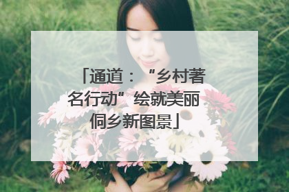 通道：“乡村著名行动”绘就美丽侗乡新图景