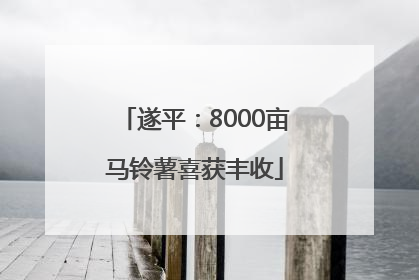 遂平：8000亩马铃薯喜获丰收