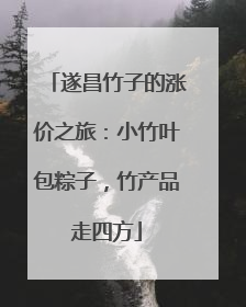 遂昌竹子的涨价之旅：小竹叶包粽子，竹产品走四方