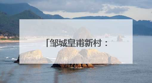 邹城皇甫新村：荷塘里养虾，一亩增收6000元