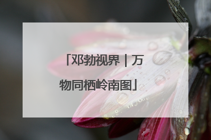邓勃视界｜万物同栖岭南图