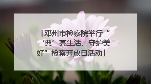 邓州市检察院举行“‘典’亮生活、守护美好”检察开放日活动