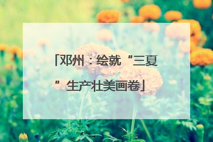 邓州：绘就“三夏”生产壮美画卷