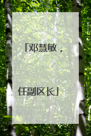 邓慧敏，任副区长
