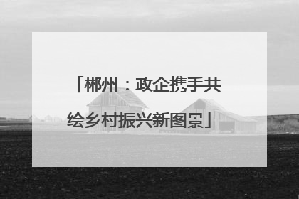 郴州：政企携手共绘乡村振兴新图景