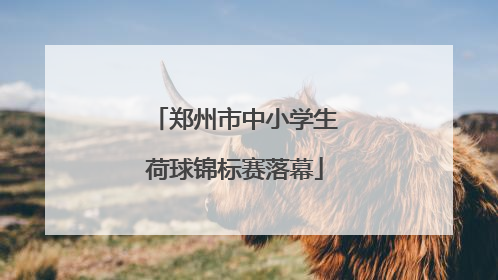 郑州市中小学生荷球锦标赛落幕