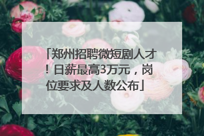 郑州招聘微短剧人才！日薪最高3万元，岗位要求及人数公布