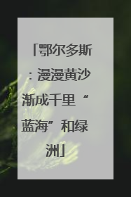 鄂尔多斯：漫漫黄沙渐成千里“蓝海”和绿洲