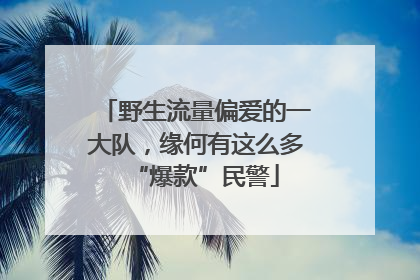 野生流量偏爱的一大队，缘何有这么多“爆款”民警