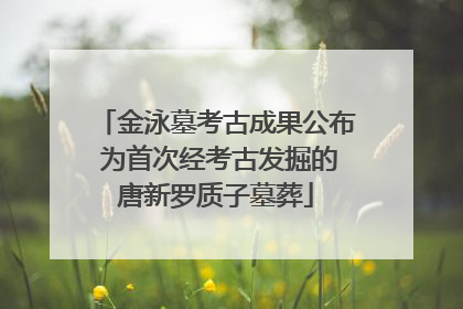 金泳墓考古成果公布 为首次经考古发掘的唐新罗质子墓葬
