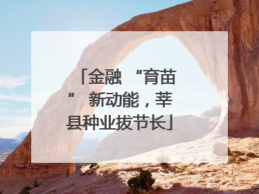 金融 “育苗” 新动能，莘县种业拔节长