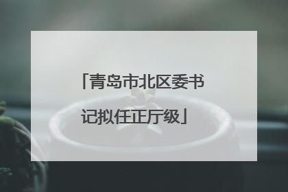 青岛市北区委书记拟任正厅级