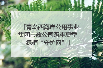 青岛西海岸公用事业集团市政公司筑牢夏季绿植“守护网”