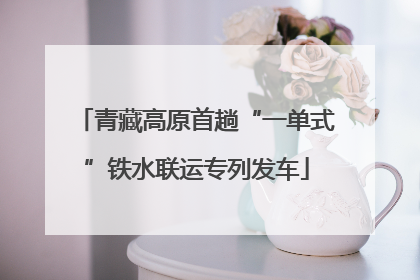 青藏高原首趟“一单式”铁水联运专列发车
