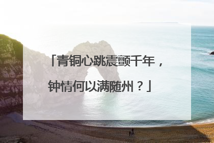 青铜心跳震颤千年，钟情何以满随州？