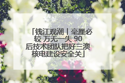 钱江观潮丨毫厘必较 万无一失 90后技术团队把好三澳核电建设安全关