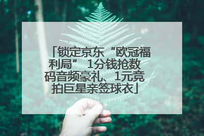 锁定京东“欧冠福利局” 1分钱抢数码音频豪礼、1元竞拍巨星亲签球衣