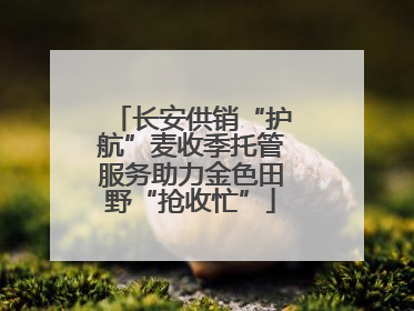 长安供销“护航”麦收季托管服务助力金色田野“抢收忙”