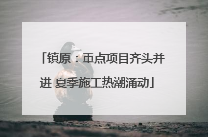 镇原：重点项目齐头并进 夏季施工热潮涌动