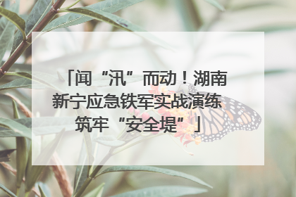 闻“汛”而动！湖南新宁应急铁军实战演练筑牢“安全堤”