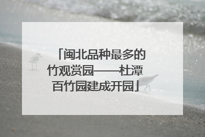 闽北品种最多的竹观赏园——杜潭百竹园建成开园