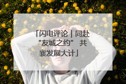 闪电评论｜同赴“友城之约” 共襄发展大计