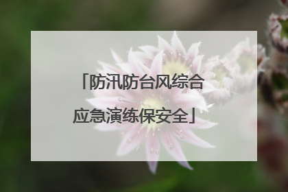 防汛防台风综合应急演练保安全