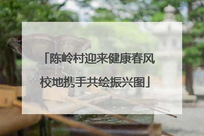 陈岭村迎来健康春风 校地携手共绘振兴图
