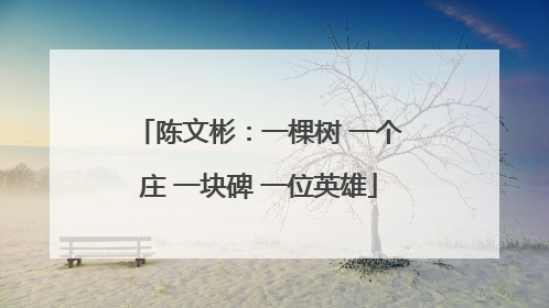 陈文彬：一棵树 一个庄 一块碑 一位英雄