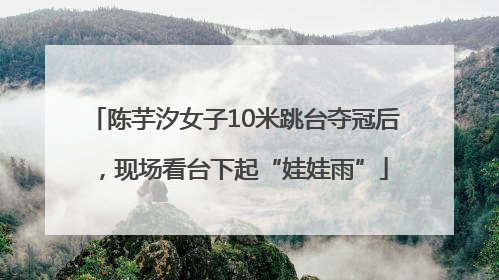 陈芋汐女子10米跳台夺冠后，现场看台下起“娃娃雨”