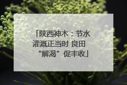 陕西神木：节水灌溉正当时 良田“解渴”促丰收
