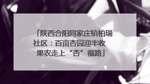 陕西合阳同家庄镇柏瑞社区：百亩杏园迎丰收 果农走上“杏”福路
