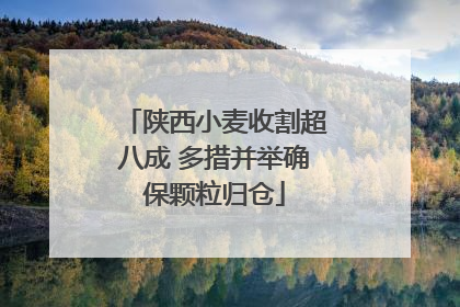 陕西小麦收割超八成 多措并举确保颗粒归仓
