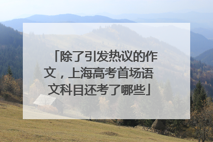 除了引发热议的作文，上海高考首场语文科目还考了哪些