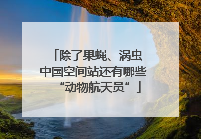 除了果蝇、涡虫 中国空间站还有哪些“动物航天员”