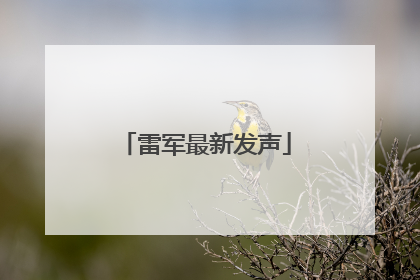 雷军最新发声