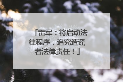 雷军：将启动法律程序，追究造谣者法律责任！