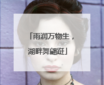 雨润万物生，湖畔舞翩跹