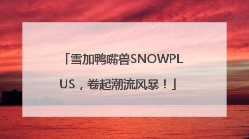 雪加鸭嘴兽SNOWPLUS，卷起潮流风暴！