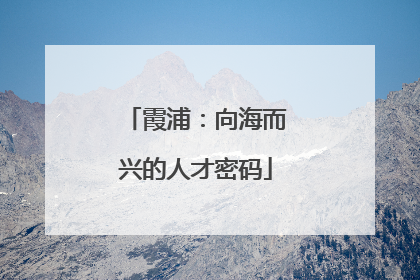 霞浦：向海而兴的人才密码