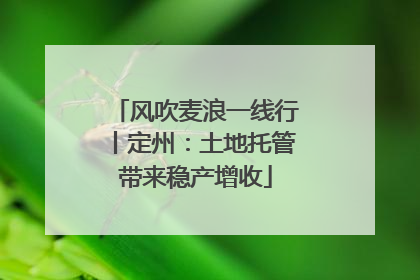 风吹麦浪一线行丨定州：土地托管带来稳产增收