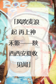 风吹麦浪起 再上神禾塬——陕西西安夏收见闻