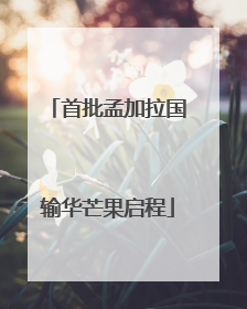首批孟加拉国输华芒果启程
