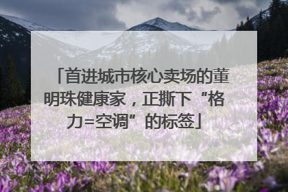 首进城市核心卖场的董明珠健康家，正撕下“格力=空调”的标签