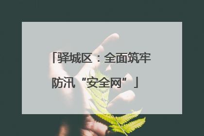 驿城区：全面筑牢防汛“安全网”