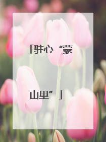 驻心“蒙山里”