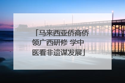 马来西亚侨商侨领广西研修 学中医看非遗谋发展