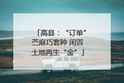 高县：“订单”苎麻巧套种 闲置土地再生“金”